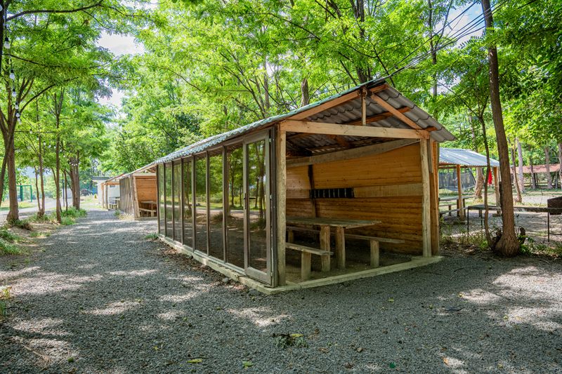 A yard you'll spend the whole day in