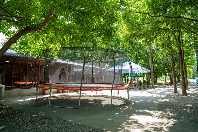 The trampoline