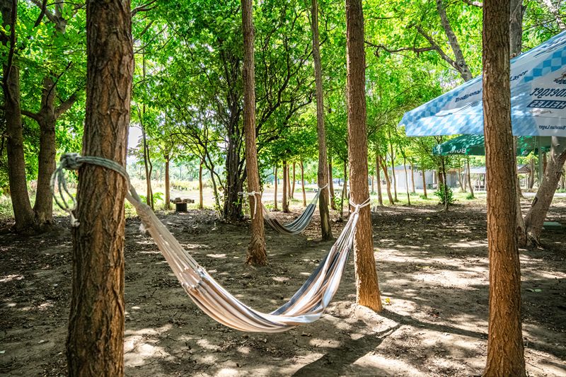 Hammocks at noon